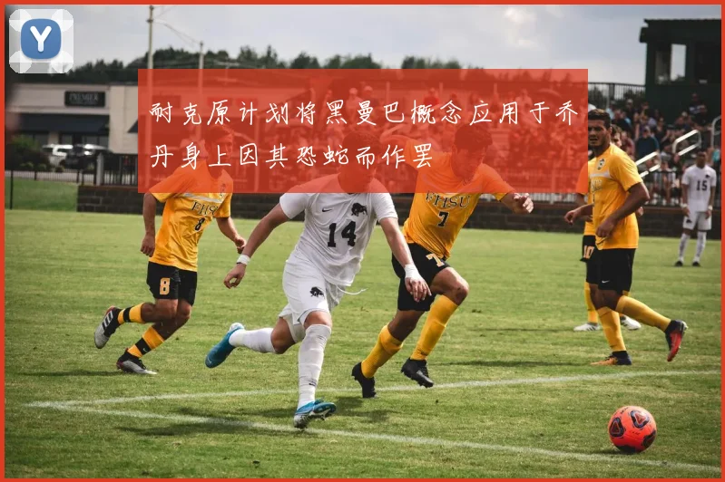 耐克原计划将黑曼巴概念应用于乔丹身上因其恐蛇而作罢