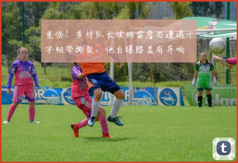 重伤！多特队长埃姆雷詹恐遭遇十字韧带撕裂，他自曝膝盖有异响